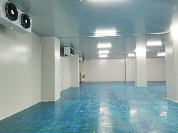 建個(gè)1000平方米的冷庫(kù)要多少錢?