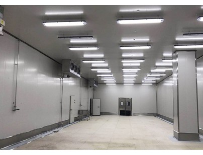 福建鷺燕藥業(yè)2100m3醫(yī)藥物流冷藏庫建設新工程案例