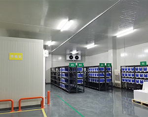 建造醫(yī)療器械冷庫(kù)溫濕度要求多少度合適?