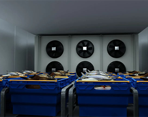 安裝10000平生鮮電商冷庫有哪些因素會影響投資預(yù)算？