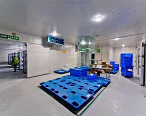 血制品公司建造80立方-25~-30℃血漿冷庫的方案報價？