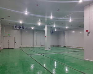 化工企業(yè)內(nèi)建造一個100平防爆冷庫的設(shè)計安裝費用？