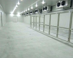 建造4000平米牛排冷凍庫工程費用所需多少？