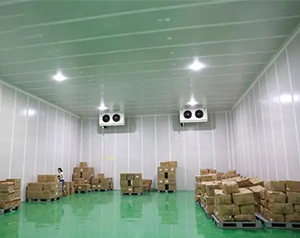 安裝10000m³生鮮物流冷藏庫（低溫倉庫）建設(shè)廠家收費(fèi)標(biāo)準(zhǔn)