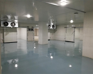 建一個(gè)100平方藥品低溫冷庫的費(fèi)用是多少