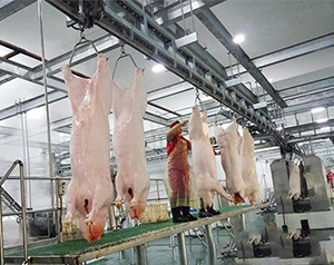 豬肉加工廠冷庫如何進(jìn)行設(shè)計(jì)建造？
