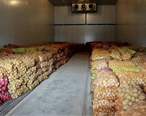 安徽小型食品冷庫造價(jià)多少錢一噸?