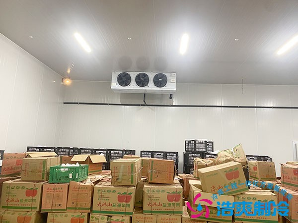 建一個(gè)水果冷庫(kù)需要多少錢？