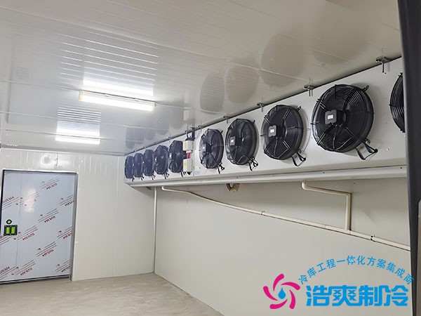 低溫速凍冷庫造價(jià)