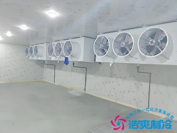 建造速凍庫多少錢一個(gè)平方？
