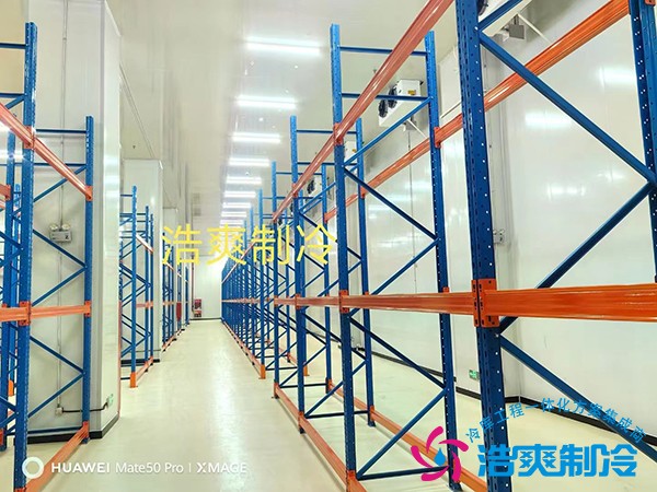 專業(yè)藥品冷庫設(shè)計安裝