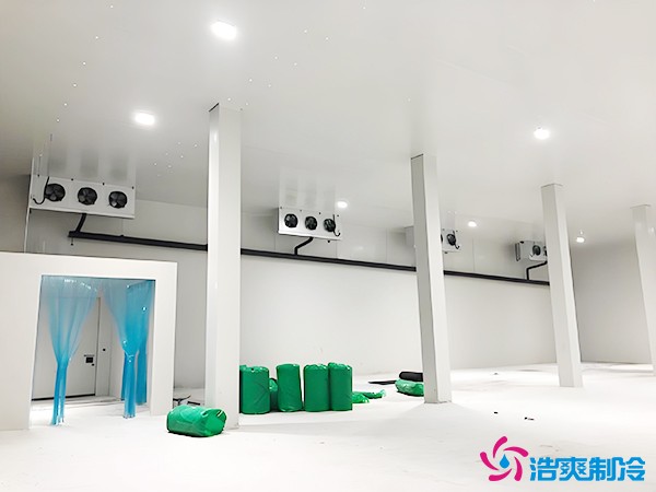 建造萬(wàn)噸級(jí)大型冷庫(kù)造價(jià)大概多少錢？萬(wàn)噸冷庫(kù)造價(jià)影響因素