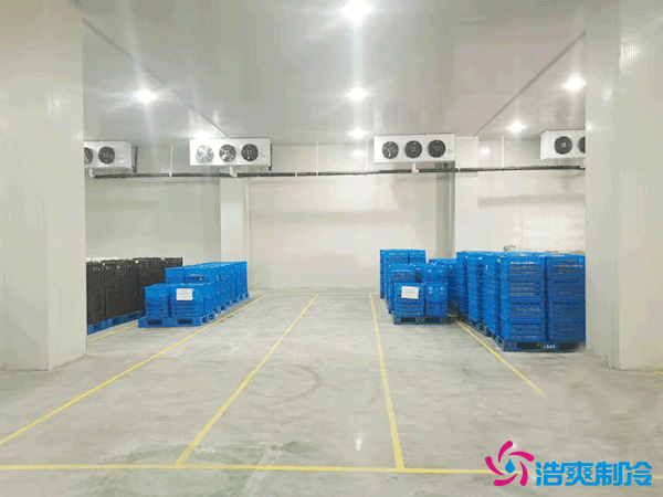 建造萬(wàn)噸級(jí)大型冷庫(kù)造價(jià)大概多少錢？萬(wàn)噸冷庫(kù)造價(jià)影響因素