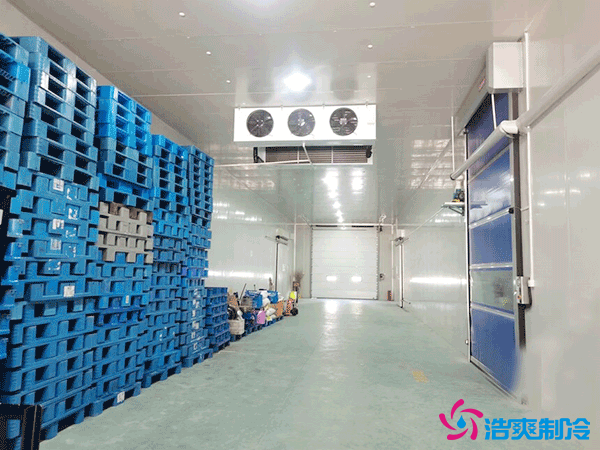 上海建設50噸冷藏庫造價多少錢？50噸冷庫需要多大的機器？
