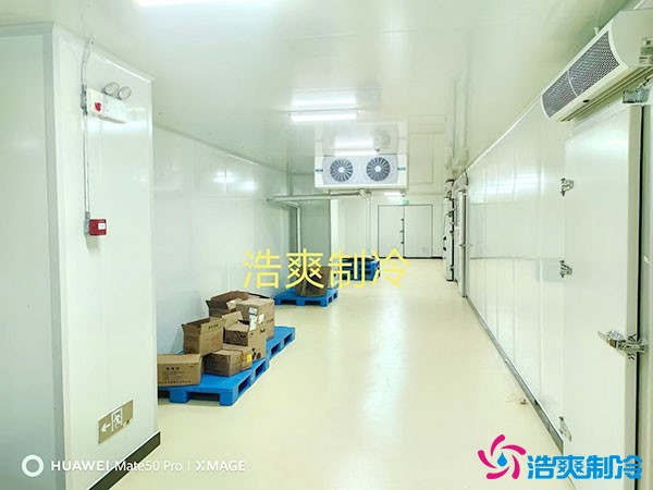 儲存疫苗的企業(yè)獨立冷庫有幾個？生物疫苗冷庫造價