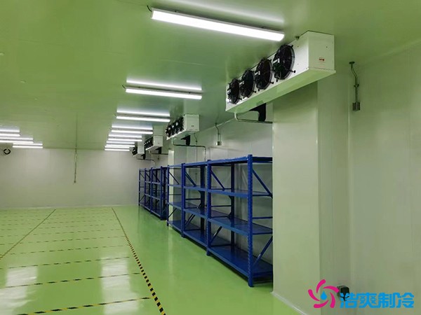 儲存疫苗的企業(yè)獨立冷庫有幾個？生物疫苗冷庫造價