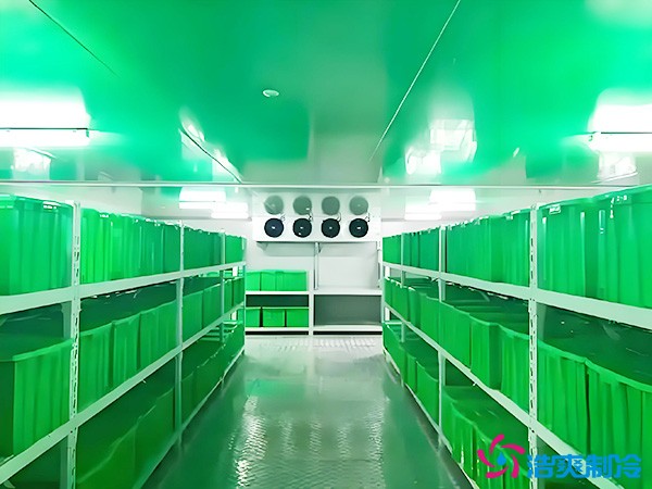 藥品批發(fā)企業(yè)冷藏庫平方面積要求多少？1000平藥企冷庫造價(jià)