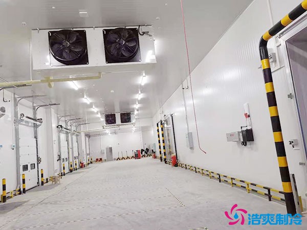 建造一個(gè)大型的冷庫(kù)安裝造價(jià)成本需要多少錢?