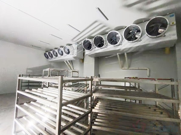 建造1000立方冷凍庫(kù)配多大壓縮機(jī)？造價(jià)預(yù)算多少錢(qián)？