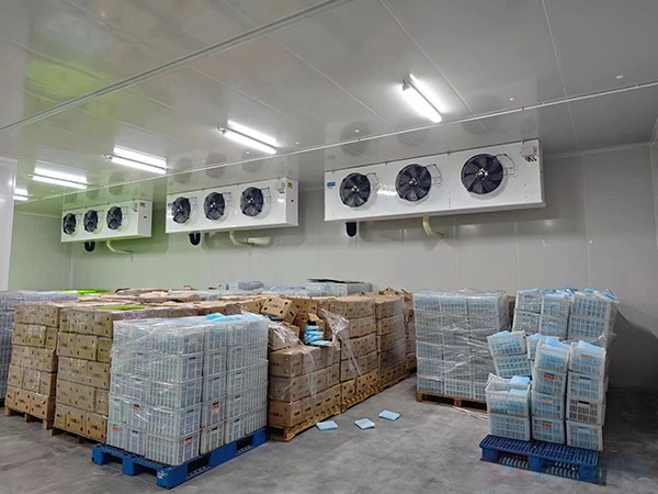 大型工業(yè)藥品冷庫建設(shè)安裝價(jià)格大概多少錢？