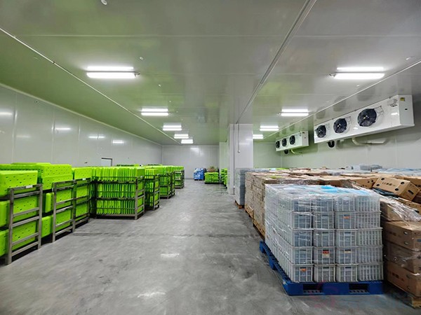 大型工業(yè)藥品冷庫建設(shè)安裝價(jià)格大概多少錢？